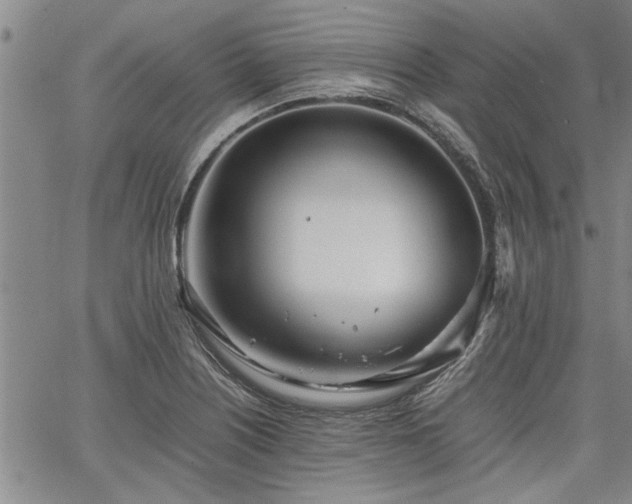 X0000067521226200604071313