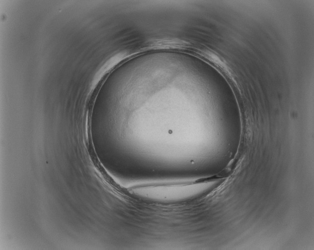 X0000067521227200604071313