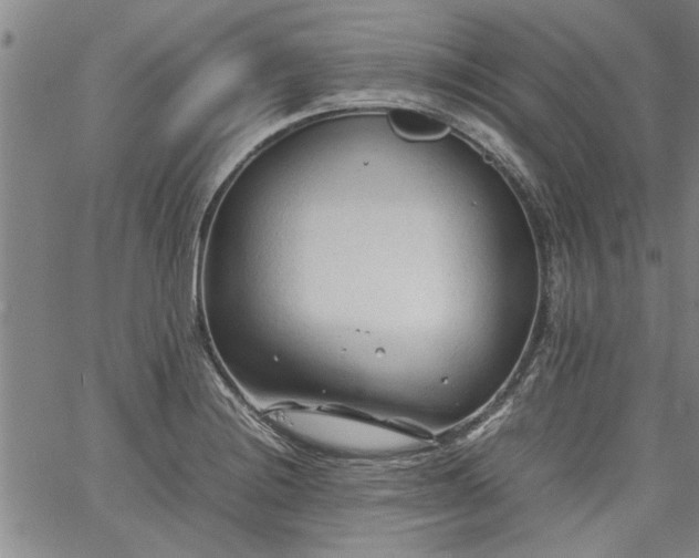 X0000067521228200604071313