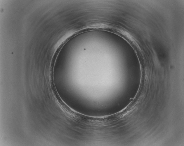 X0000067521229200604071313