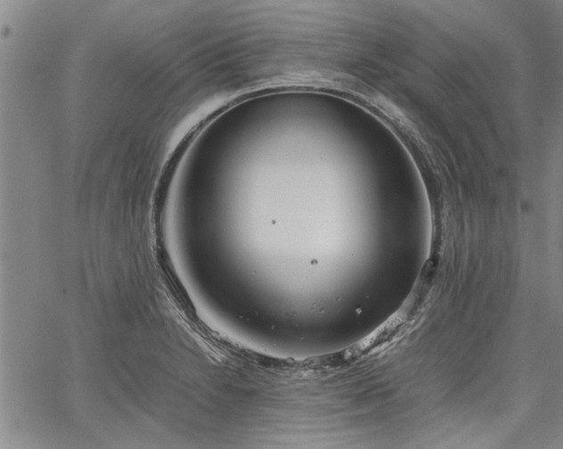 X0000067521230200604071313