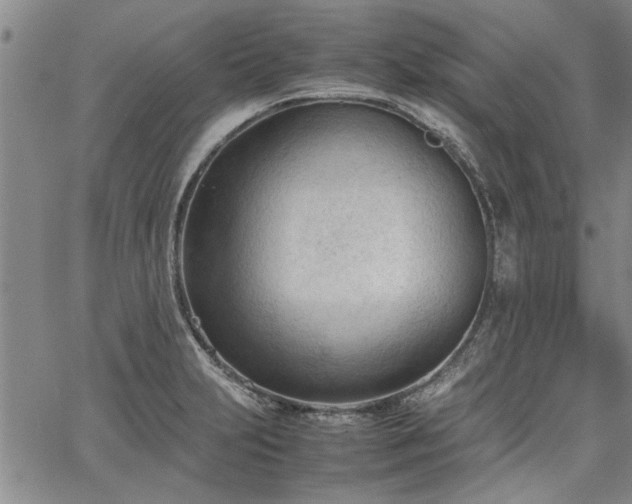 X0000067521231200604071313