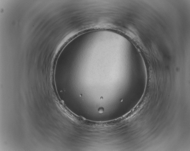 X0000067521232200604071313