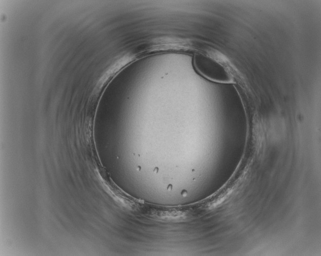 X0000067521233200604071313