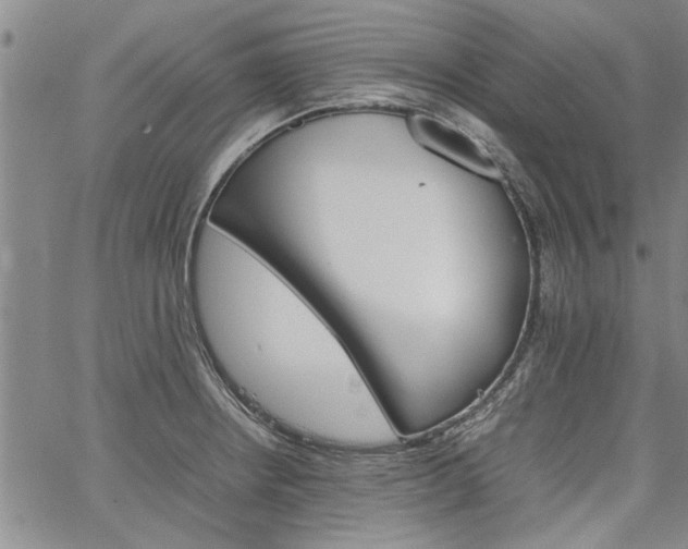 X0000067521234200604071313