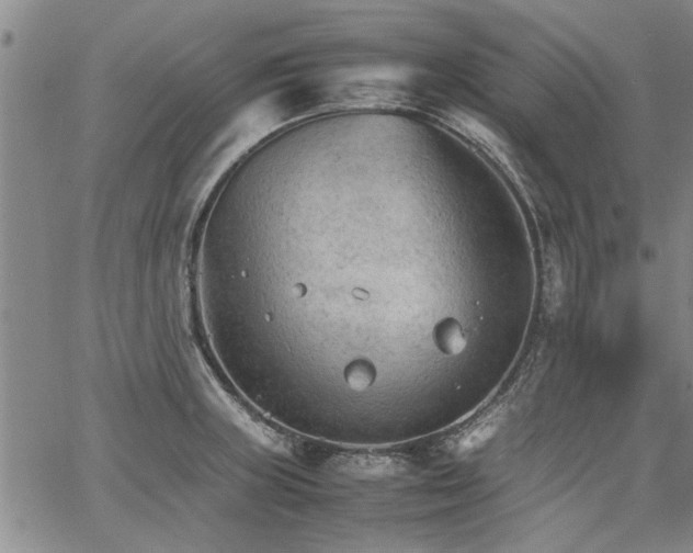 X0000067521235200604071313