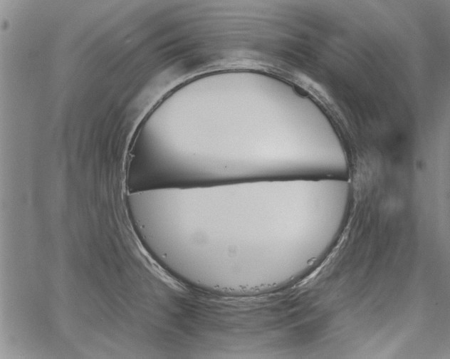 X0000067521236200604071313