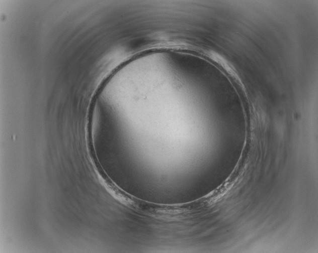 X0000067521237200604071313