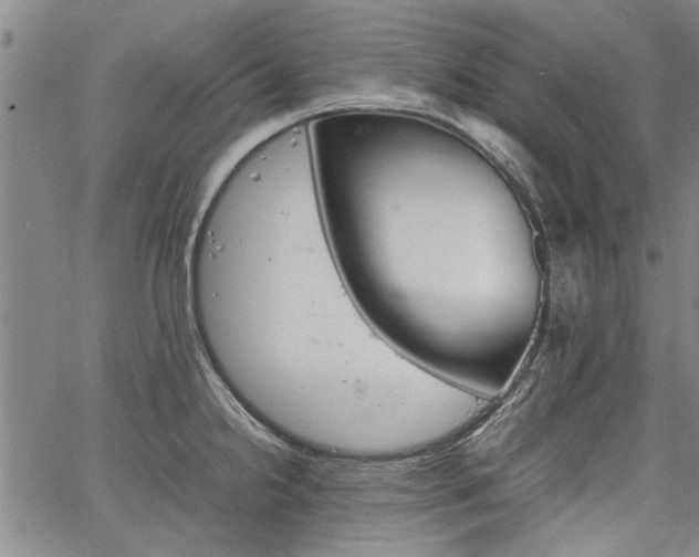 X0000067521238200604071313