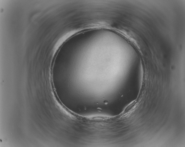 X0000067521239200604071313