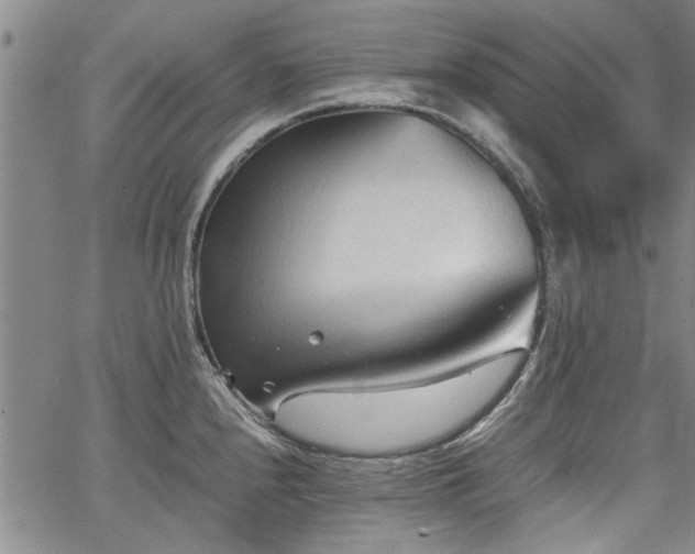 X0000067521240200604071313