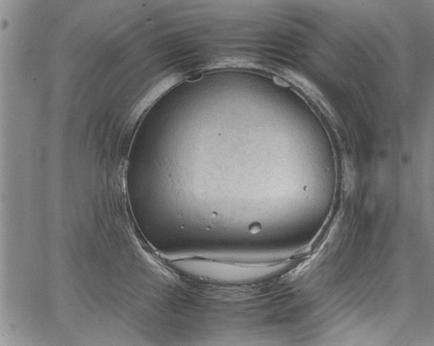 X0000067521241200604071313