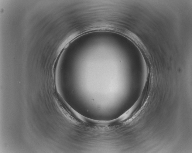 X0000067521242200604071313