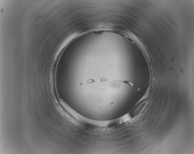 X0000067521243200604071313