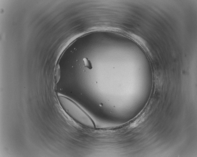 X0000067521244200604071313