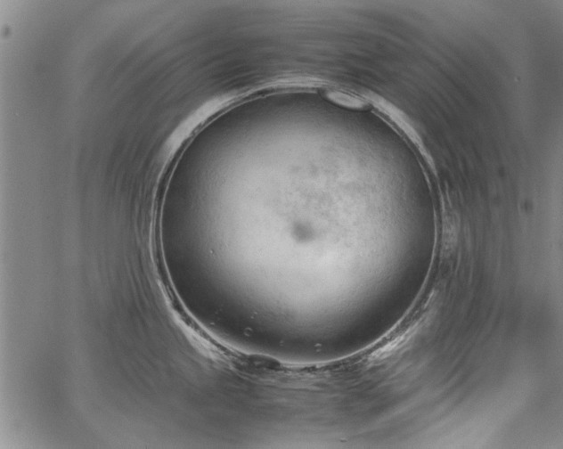 X0000067521245200604071313