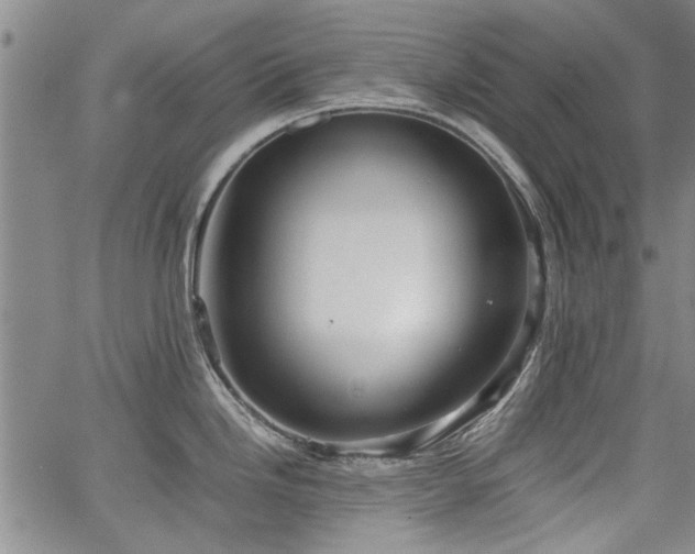 X0000067521246200604071313