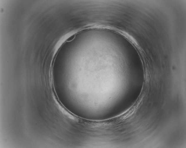 X0000067521247200604071313