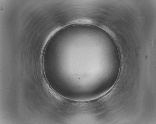 X0000067521248200604071313