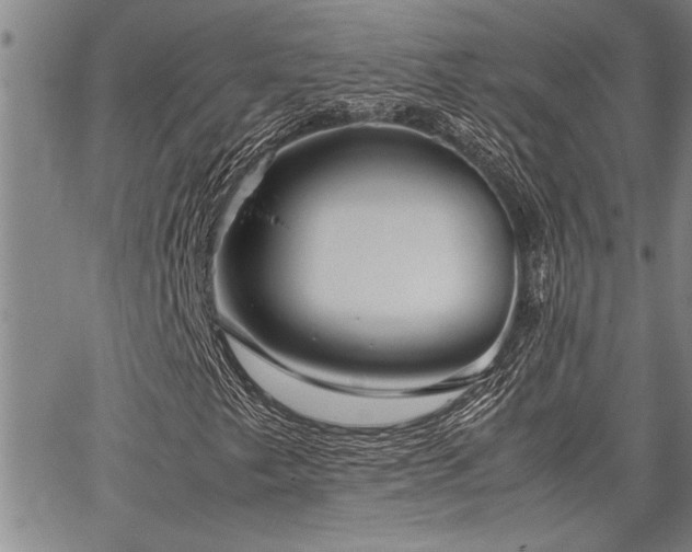 X0000067521249200604071312