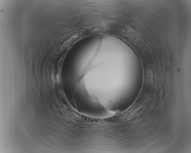 X0000067521250200604071312