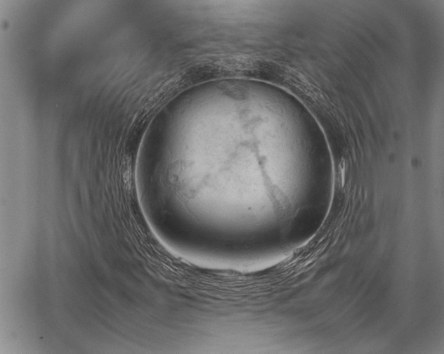 X0000067521251200604071312