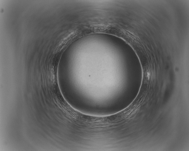 X0000067521252200604071312