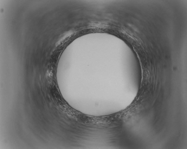 X0000067521254200604071312