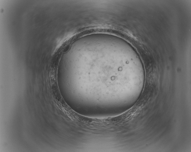 X0000067521255200604071312