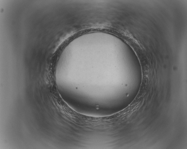 X0000067521256200604071312