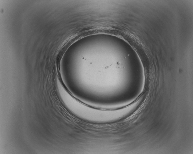 X0000067521257200604071312