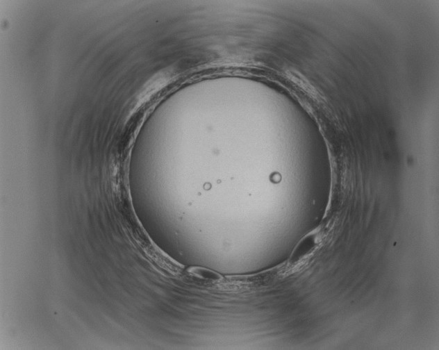 X0000067521258200604071312