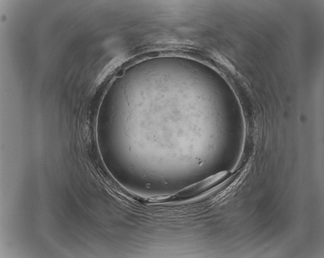 X0000067521259200604071312