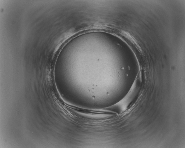 X0000067521260200604071312