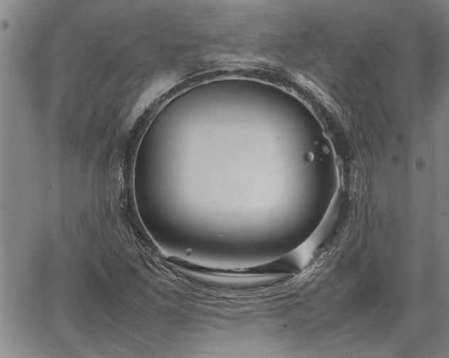 X0000067521261200604071312