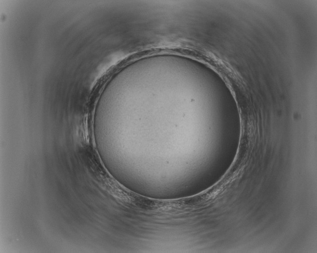 X0000067521262200604071312