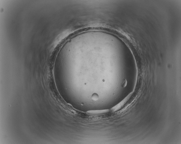 X0000067521263200604071312