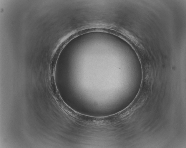 X0000067521264200604071312