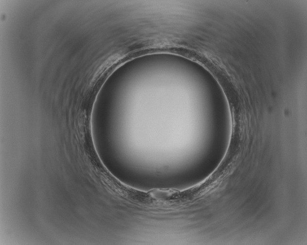 X0000067521265200604071312