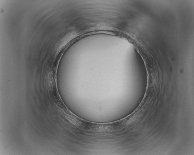 X0000067521266200604071312