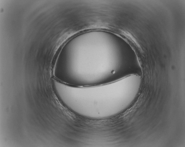 X0000067521268200604071312