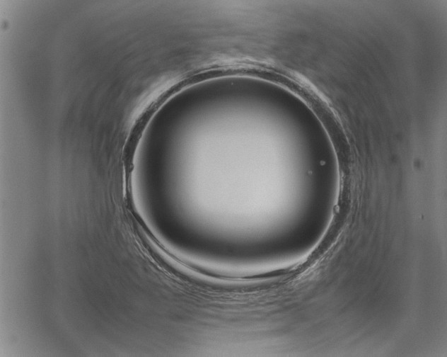 X0000067521269200604071312