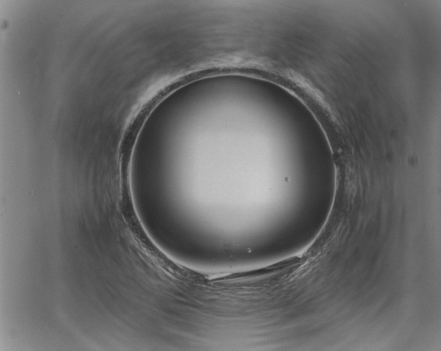 X0000067521270200604071312