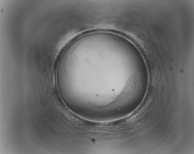 X0000067521271200604071312