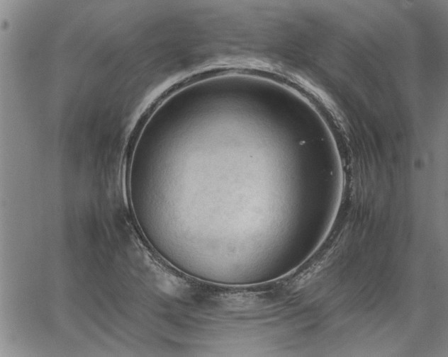 X0000067521272200604071312