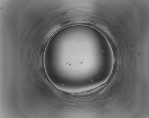 X0000067521273200604071312