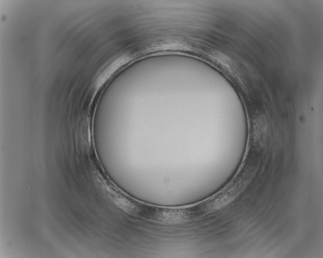 X0000067521274200604071312