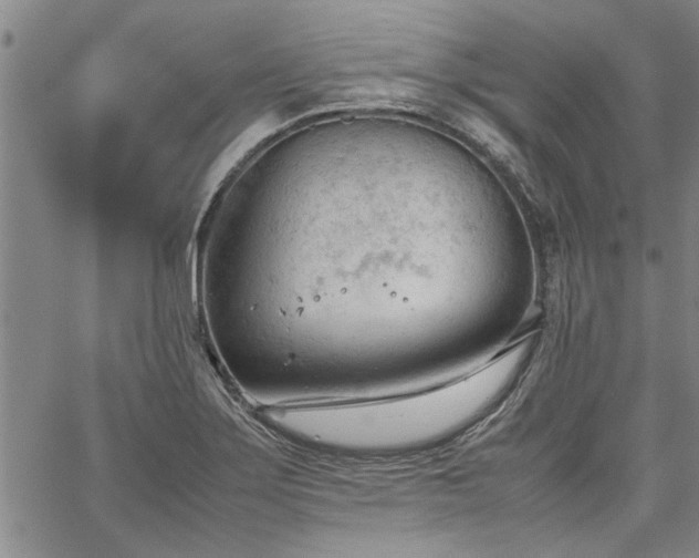 X0000067521275200604071312