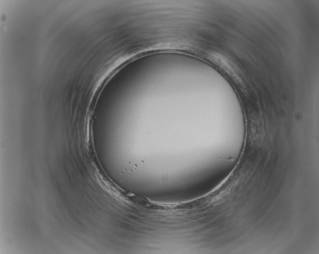 X0000067521276200604071312