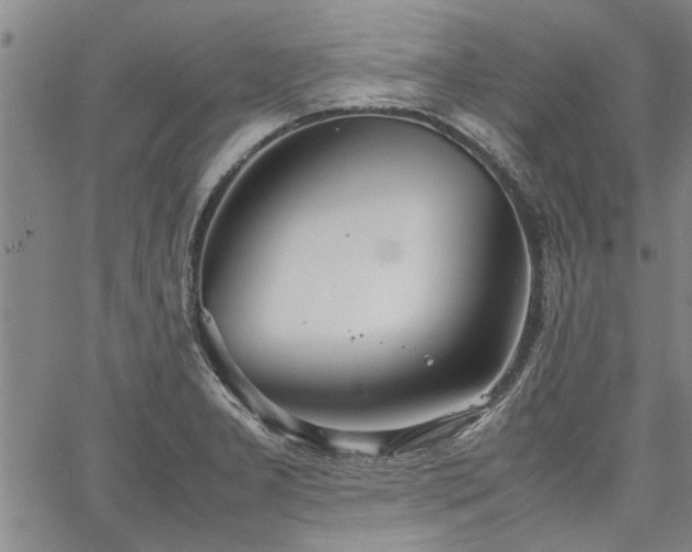 X0000067521277200604071312